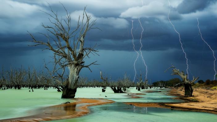 ANZANG set to capture Kalgoorlie  Western Australian Museum